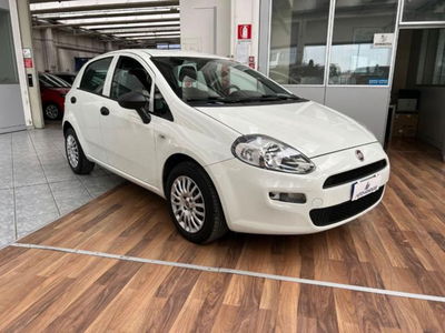 Fiat Punto 1.4 8V 5 porte Easypower Street