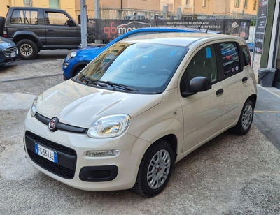Fiat Panda 1.2 usata