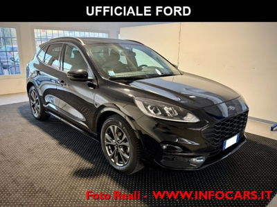 Ford Kuga 1.5 EcoBlue 120 CV 2WD ST-Line usata