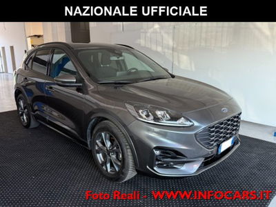 Ford Kuga 1.5 EcoBlue 120 CV 2WD ST-Line usata