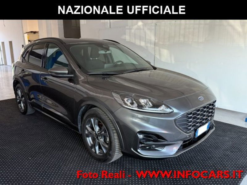 Ford Kuga 1.5 EcoBlue 120 CV 2WD ST-Line