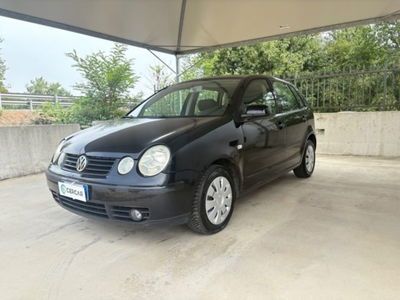 Volkswagen Polo 1.4/101CV 16V 5p. Highline usata