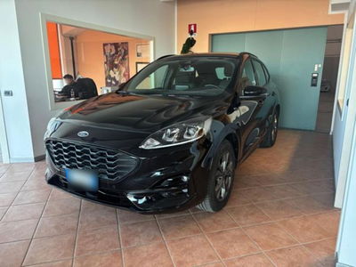 Ford Kuga 1.5 EcoBlue 120 CV aut. 2WD ST-Line X Design usata