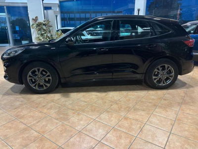 Ford Kuga 1.5 EcoBlue 120 CV aut. 2WD ST-Line X usata