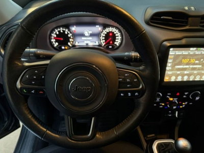 Jeep Renegade 1.0 T3 Limited (16)