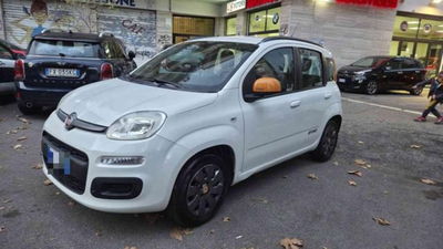 Fiat Panda 1.2 EasyPower K-Way usata
