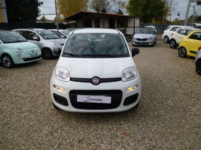Fiat Panda 1.2 EasyPower Easy usata