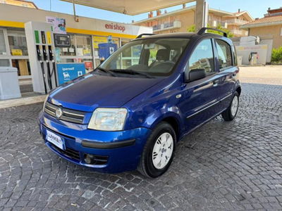 Fiat Panda 1.2 Dynamic usata