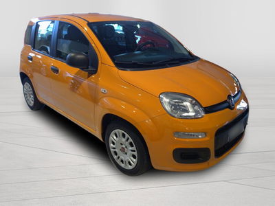 Fiat Panda 1.0 firefly hybrid s&s 70cv 5p.ti usata