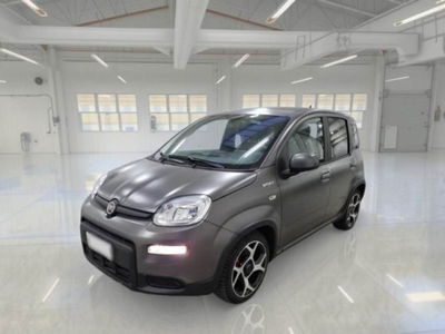Fiat Panda 1.0 firefly hybrid s&s 70cv 5p.ti usata