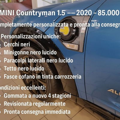 MINI Mini Countryman 1.5 Cooper Business Countryman ALL4 usata