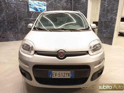 Fiat Panda 1.2 Easy usata