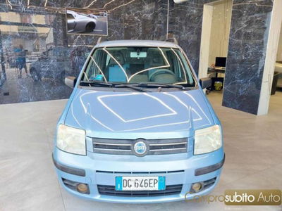 Fiat Panda 1.3 MJT 16V DPF Dynamic usata