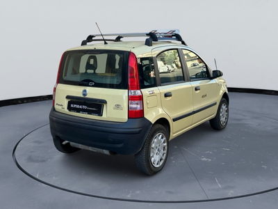 Fiat Panda 1.2 4x4 usata
