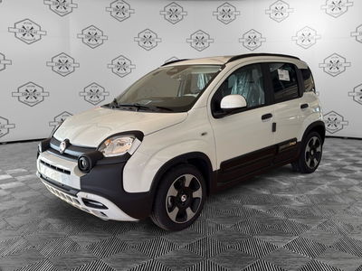 Fiat Panda Cross Cross 1.0 FireFly S&S Hybrid nuova