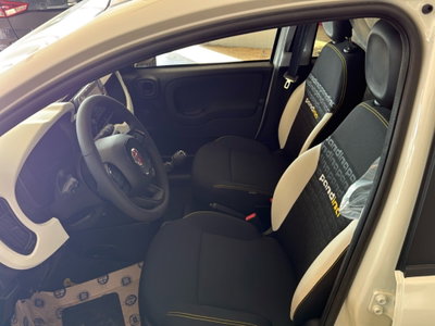 Fiat Panda Cross Cross 1.0 FireFly S&S Hybrid (10)