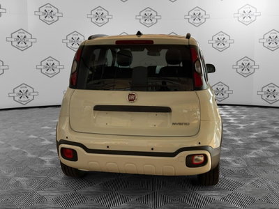 Fiat Panda Cross Cross 1.0 FireFly S&S Hybrid (4)