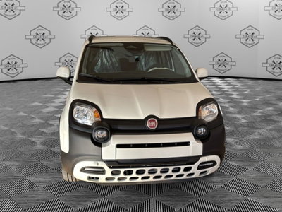 Fiat Panda Cross Cross 1.0 FireFly S&S Hybrid (6)