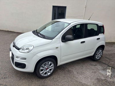 Fiat Panda 0.9 TwinAir Turbo Natural Power Easy usata