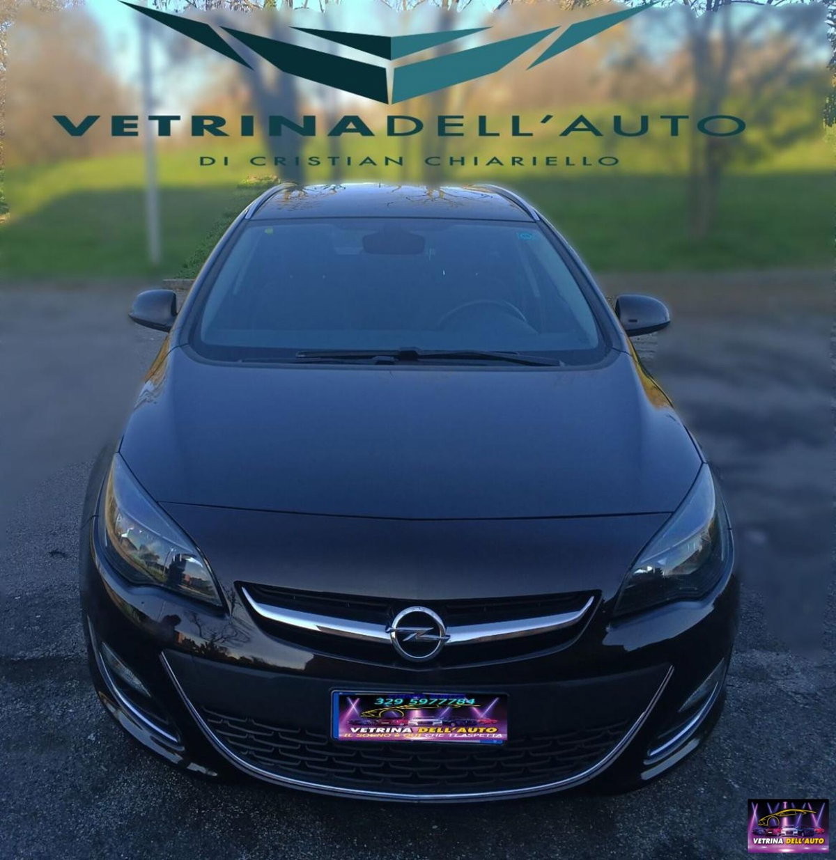 Opel Astra Station Wagon 1.6 CDTI 136CV EcoF. S&S Sports Professional N1 (9)