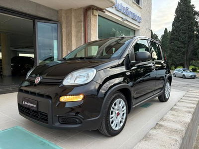 Fiat Panda 1.0 firefly hybrid s&s 70cv 5p.ti usata