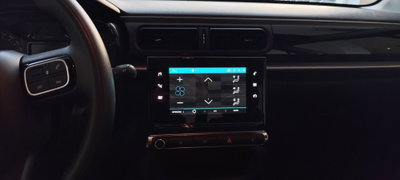 Citroen C3 BlueHDi 100 S&S Feel (11)