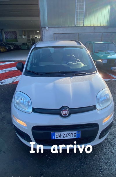 Fiat Panda 1.2 Easy usata