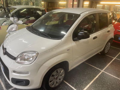 Fiat Panda 1.2 Lounge usata