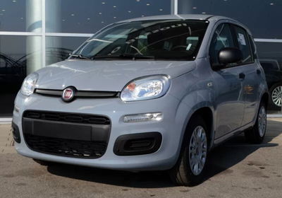 Fiat Panda 1.2 Lounge usata
