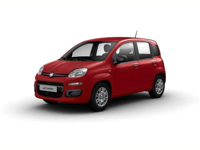 Fiat Panda 1.0 firefly hybrid Icon s&s 70cv nuova