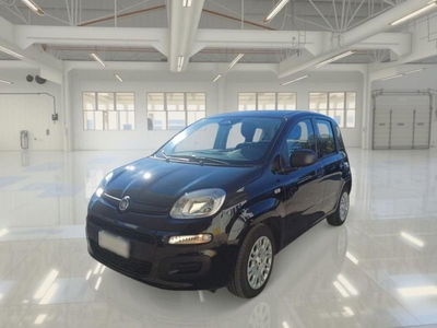 Fiat Panda Cross Cross 1.0 FireFly S&S Hybrid usata
