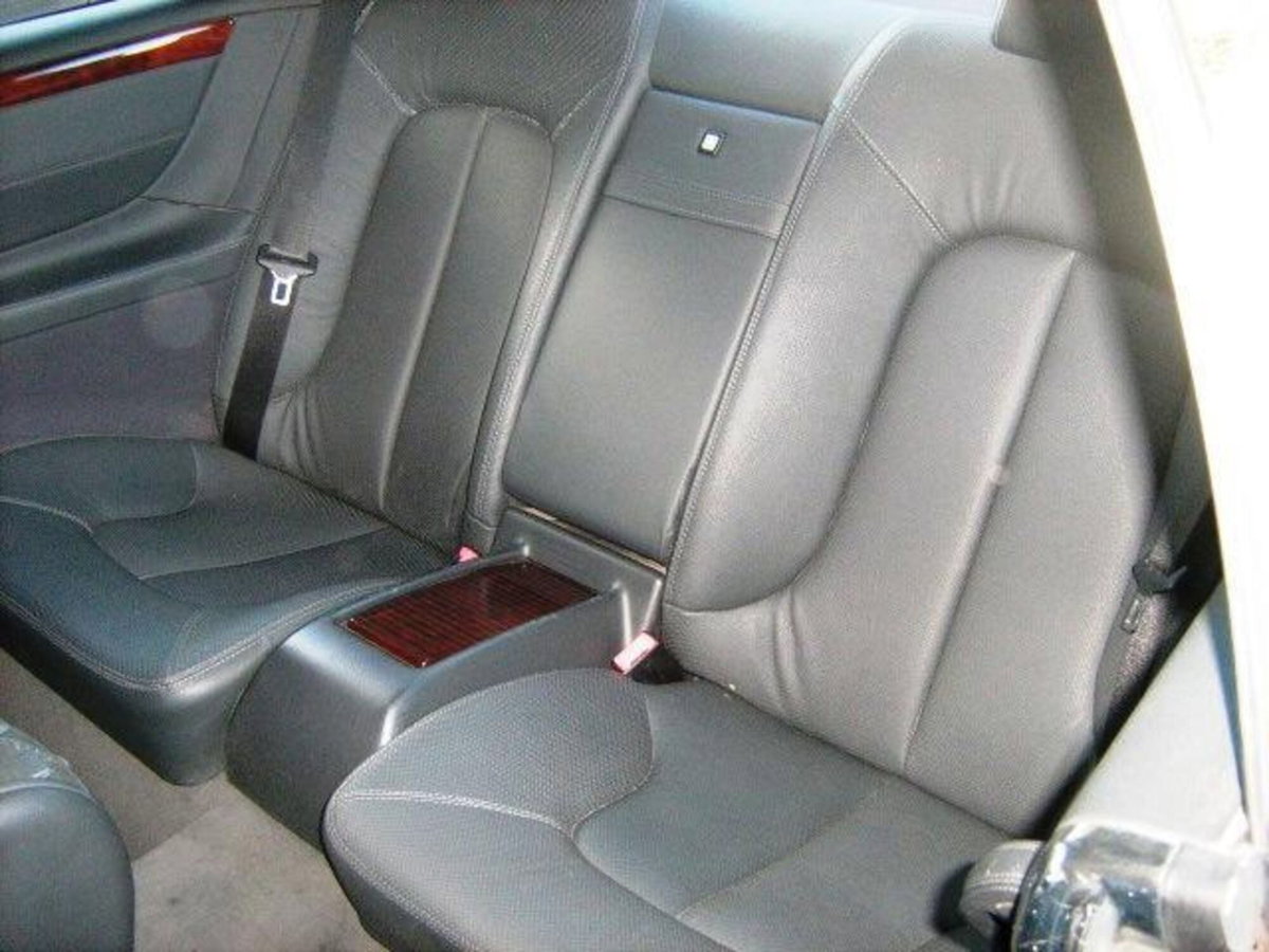 Mercedes-Benz CL 500 cat (12)