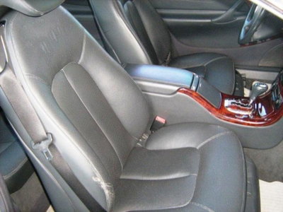 Mercedes-Benz CL 500 cat (16)