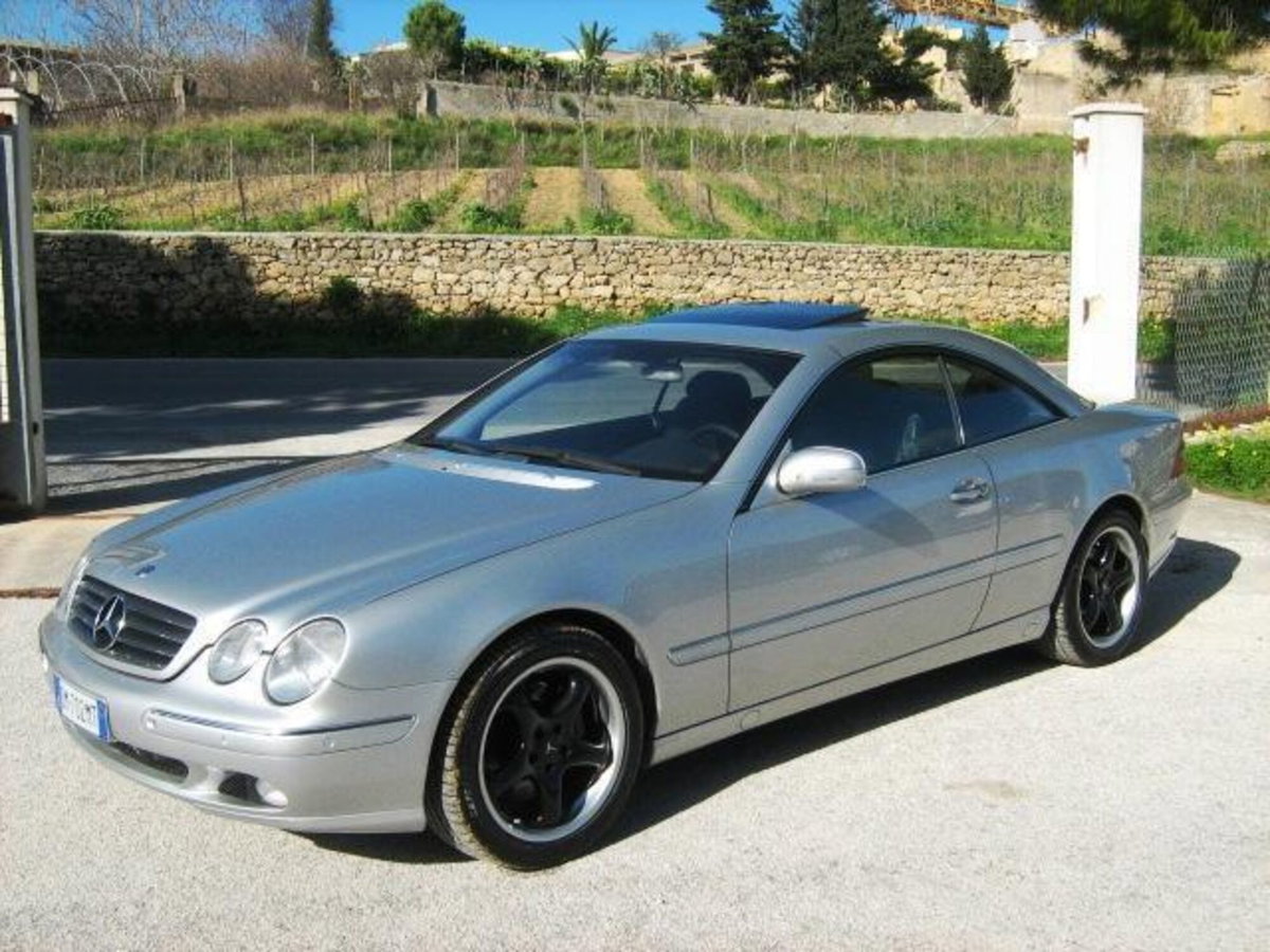Mercedes-Benz CL 500 cat (2)