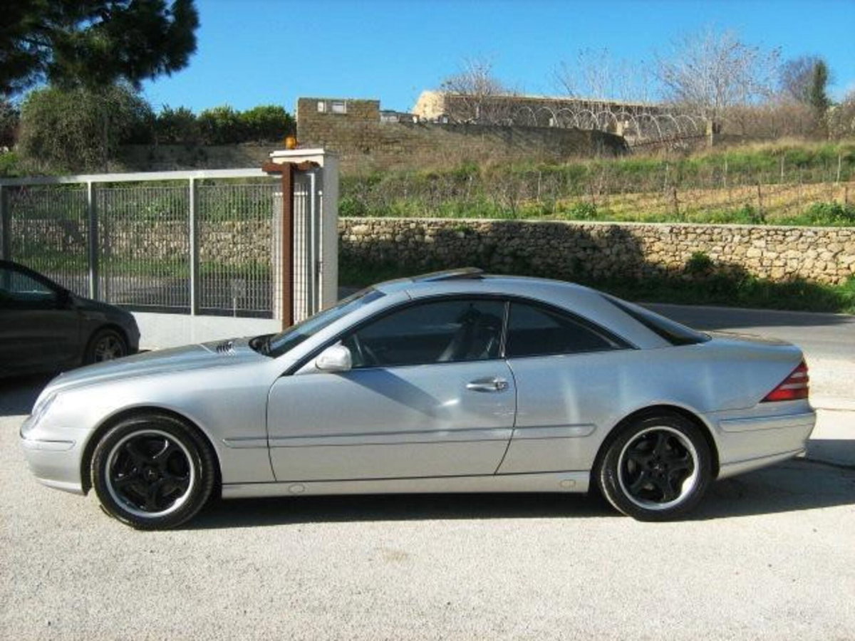 Mercedes-Benz CL 500 cat (3)