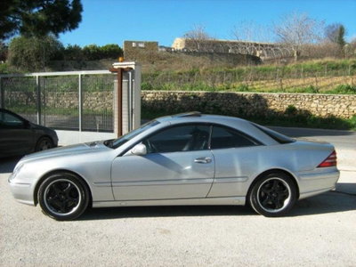 Mercedes-Benz CL 500 cat (3)