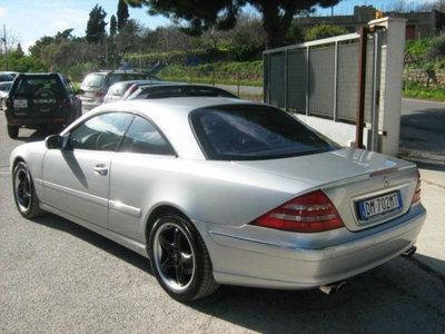 Mercedes-Benz CL 500 cat (4)