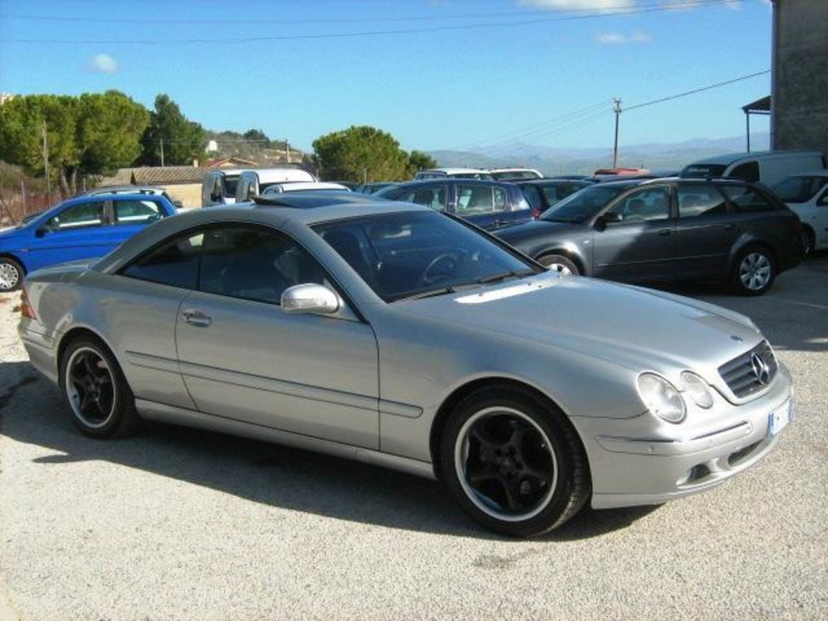 Mercedes-Benz CL 500 cat (8)