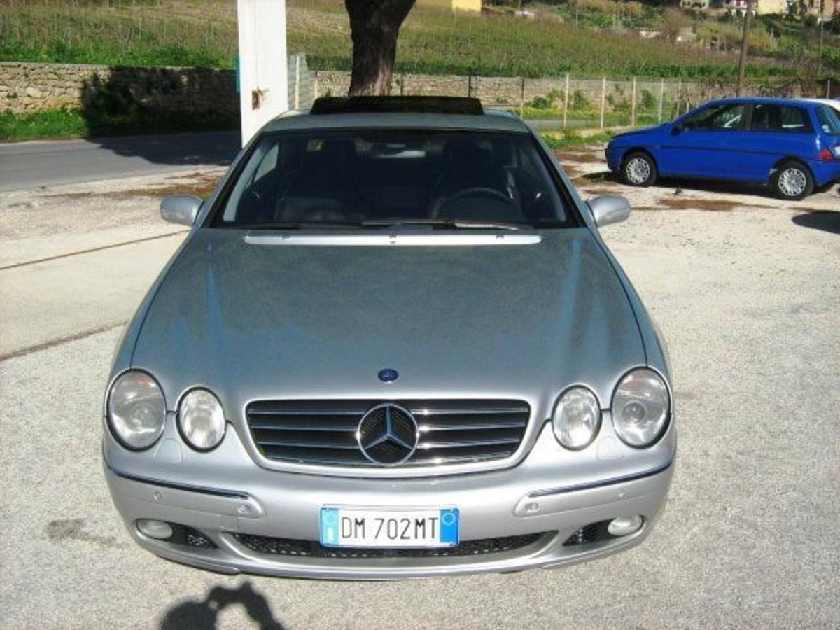 Mercedes-Benz CL 500 cat (9)