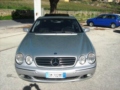 Mercedes-Benz CL 500 cat (9)