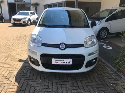 Fiat Panda 1.2 Easy usata