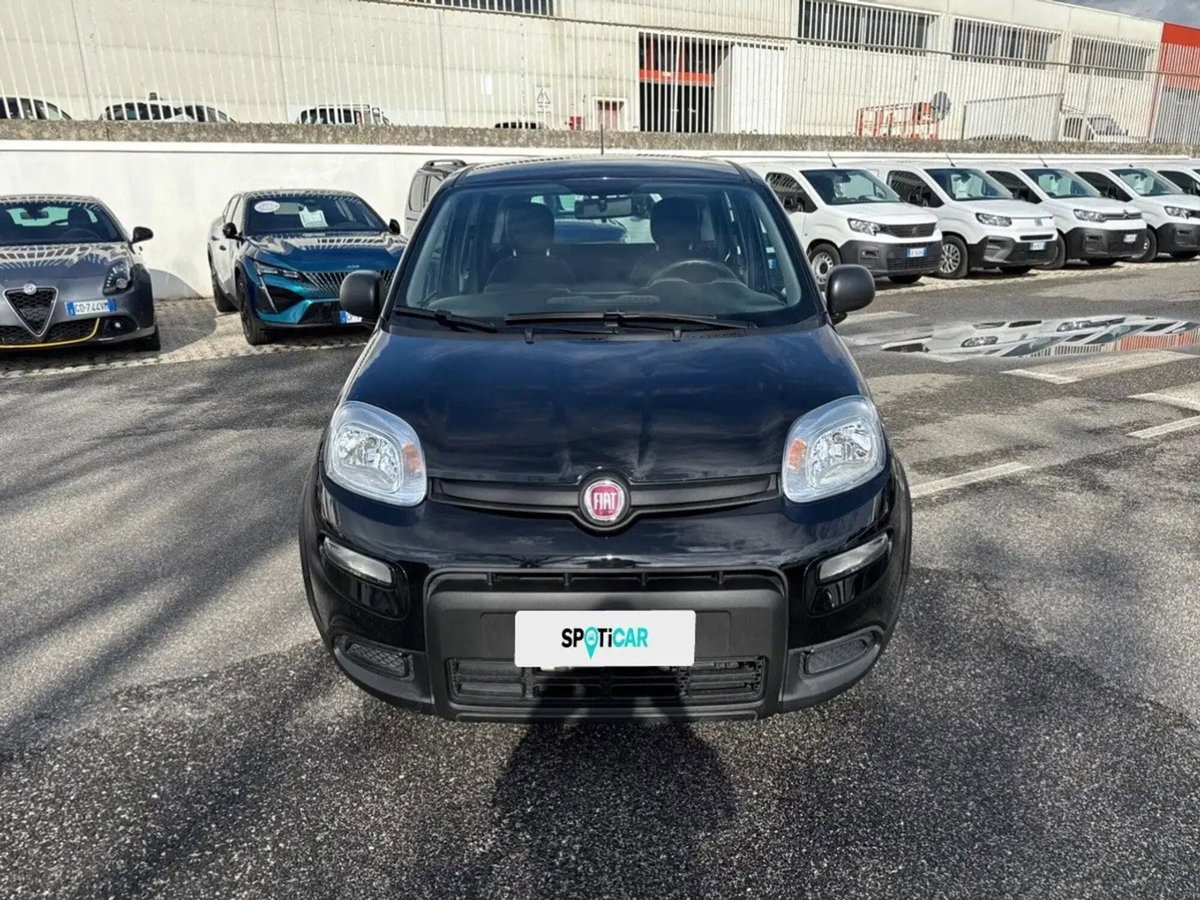 Fiat Panda Cross Cross 1.0 FireFly S&S Hybrid (4)
