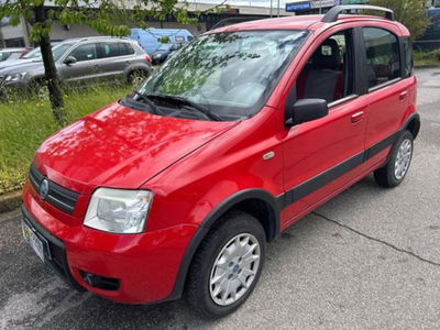 Fiat Panda 1.2 4x4 usata
