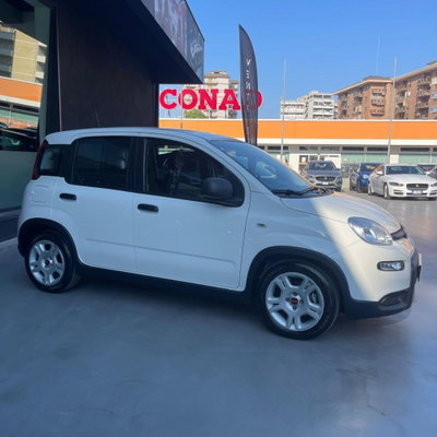 Fiat Panda 1.0 firefly hybrid Pop s&s 70cv (5)