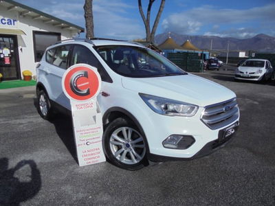 Ford Kuga 1.5 TDCI 120 CV S&S 2WD Titanium Business usata