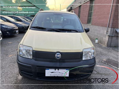 Fiat Panda 1.2 4x4 usata