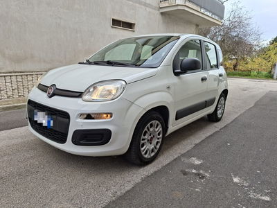 Fiat Panda 1.2 Easy usata