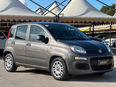 Fiat Panda Cross Cross 1.0 FireFly S&S Hybrid usata