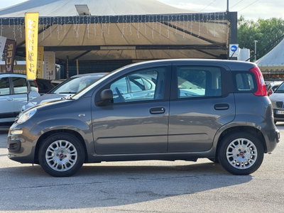 Fiat Panda Cross Cross 1.0 FireFly S&S Hybrid (4)