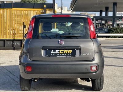 Fiat Panda Cross Cross 1.0 FireFly S&S Hybrid (6)